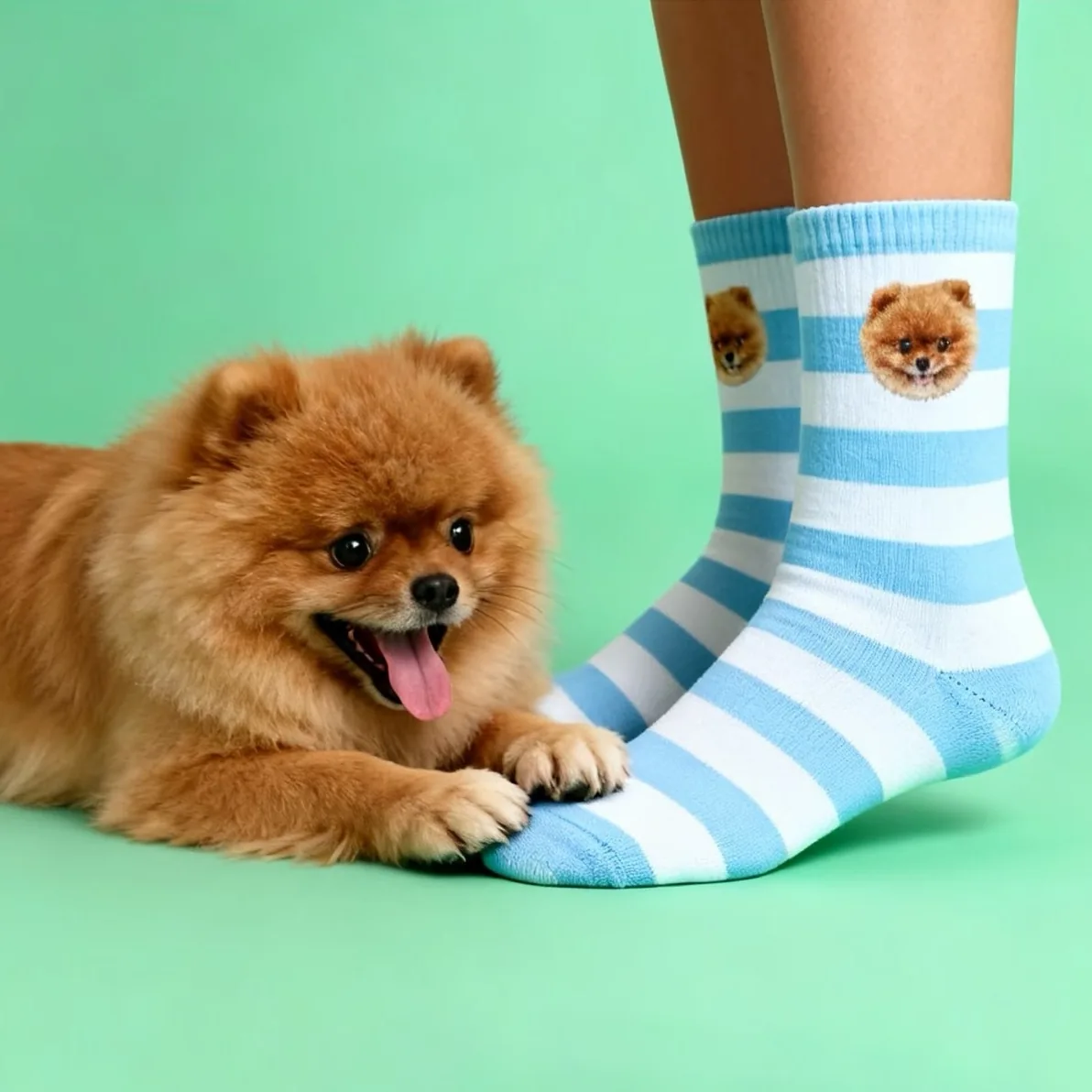 Animal Socks: Wild on Your Feet — Soxfun custom sock guide